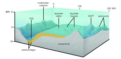  Fladderende Mossel! Een Sterk Gestructureerde Woonkamer In De Diepte Van De Oceaan